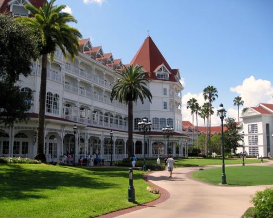 Gator drags child int water Disney Grand Floridian