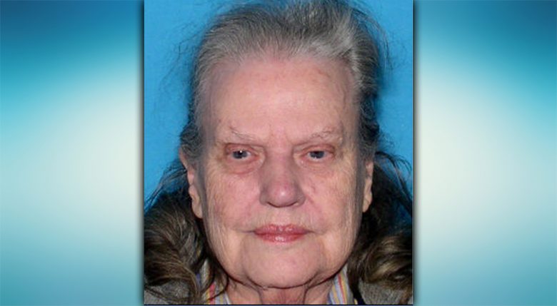 Leesburg Woman Missing