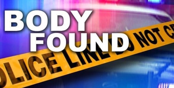 body found hit and run