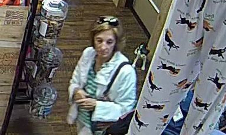 Police search for suspect that was caught on camera taking items from Woof Gang Bakery and Grooming in Brownwood.