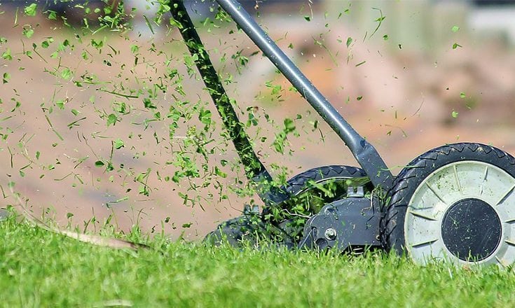 mow to own